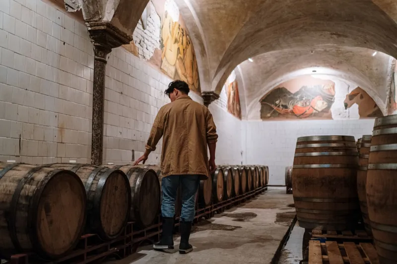 Wood, Time, and Chemistry: Inside the Barrel-Aging Programs Turning Craft Beer Into Something Extraordinary